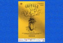 gaitele teatrul national iasi