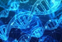 Determinarea structurii chimice a ADN-ului adn