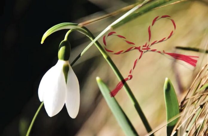 martisor concurs leviathan