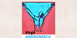 semne si cuie virgil andronescu