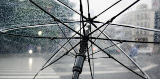 ziua meteorologiei