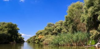 Aventurile lui Licuţă dincolo de Capătul Lumii