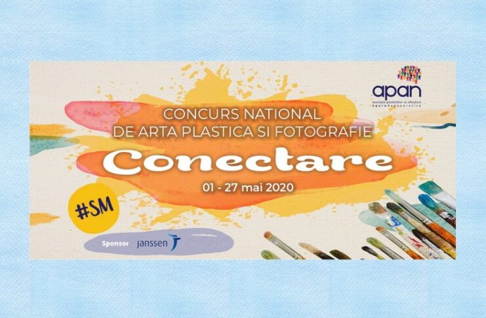 conectare_concurs arta_plastica