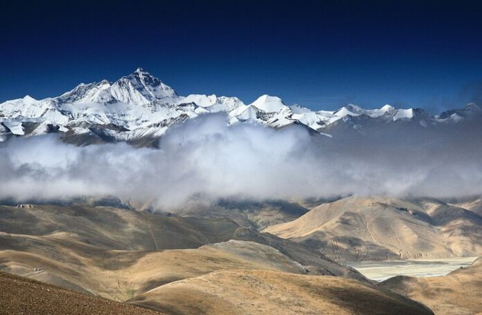 everest florika waltere stress