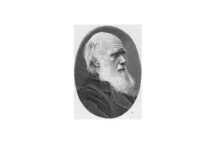 Darwin