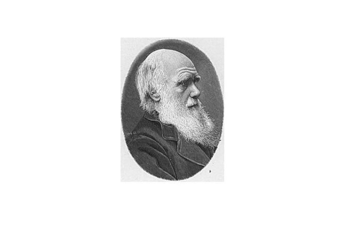 Darwin