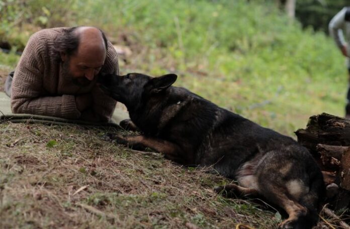 Imagine din filmul „Dragoste 1. câine” Imagine din filmul „Dragoste 1. câine”