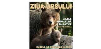 Proiectul educaţional „Ziua Ursului” (1–5 februarie 2021, Suceava) afis-ziua-ursului-