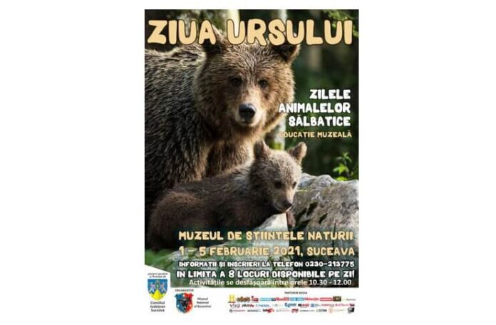 afis-ziua-ursului-