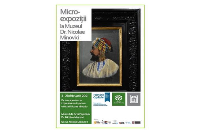 muzeul minovici