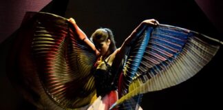 Știri: „Pasărea Măiastră” revine la Teatrul „Gulliver” din Galați (7 martie 2021) Sursa foto: Teatrul „Gulliver”