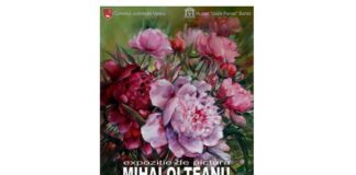 mihai olteanu expoziție