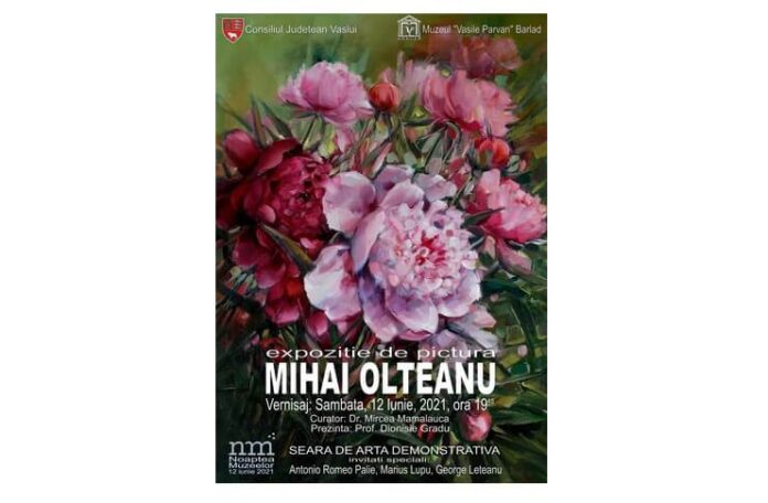 mihai olteanu expoziție mihai olteanu expoziție
