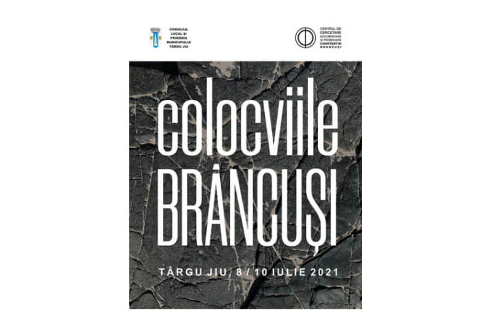 colocviile brancusi