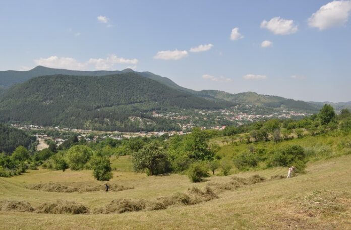 vrancea