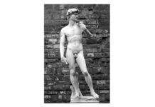 david michelangelo