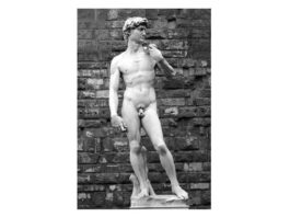 Dezvelirea statuii lui David de Michelangelo (8 septembrie 1504) david michelangelo
