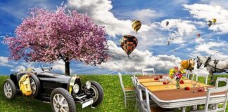 Stress & the Cities – Vise, valuri, vorbe: „Spleen de preaplin” de Florika Waltère florika waltere stress