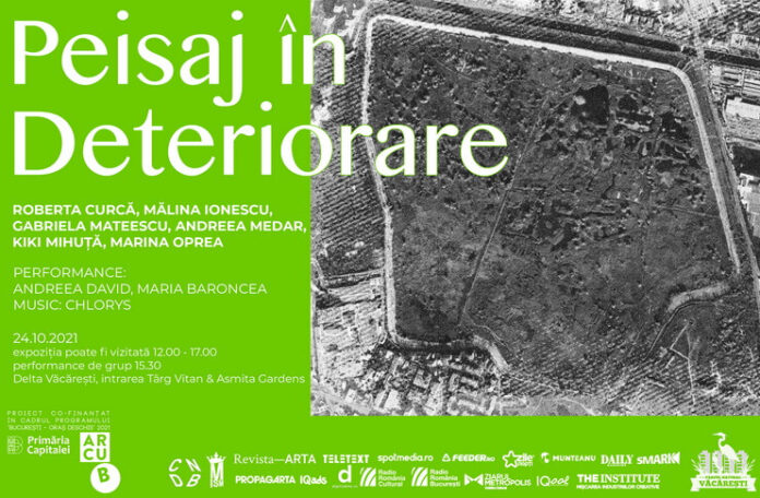 Afis Peisaj in deteriorare Afis Peisaj in deteriorare