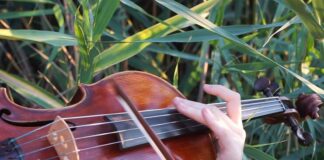 Știri: „Harmony of Disaster”, muzică experiment, un concert al naturii în Parcul Natural Văcărești (9 octombrie 2021) Harmony of Disaster