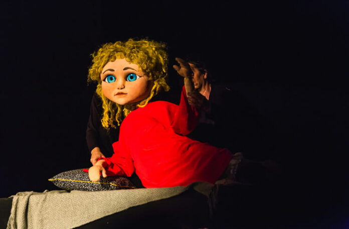 peter pan teatrul gulliver