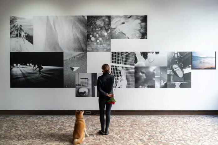 expo foto v paunescu (1)