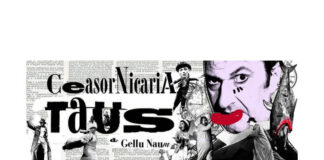 ceasornicaria taus (1)