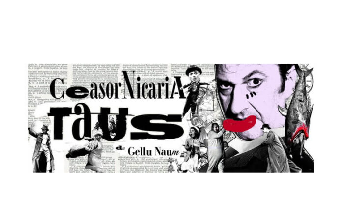 ceasornicaria taus (1)