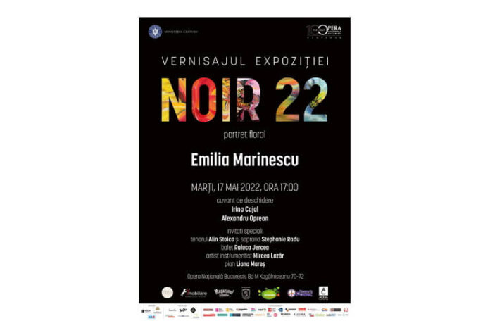 Afis Expozitie Noir 22 - ONB (1)