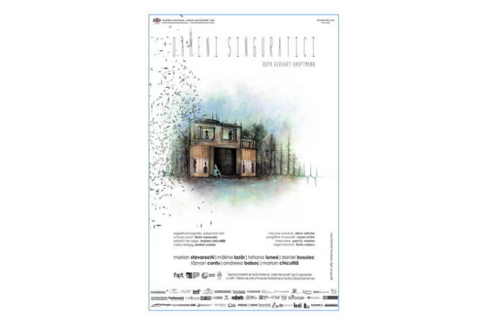 Afis Oameni Singuratici (1)