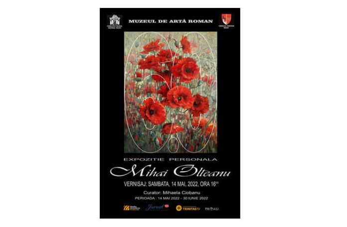 mihai olteanu expozitie