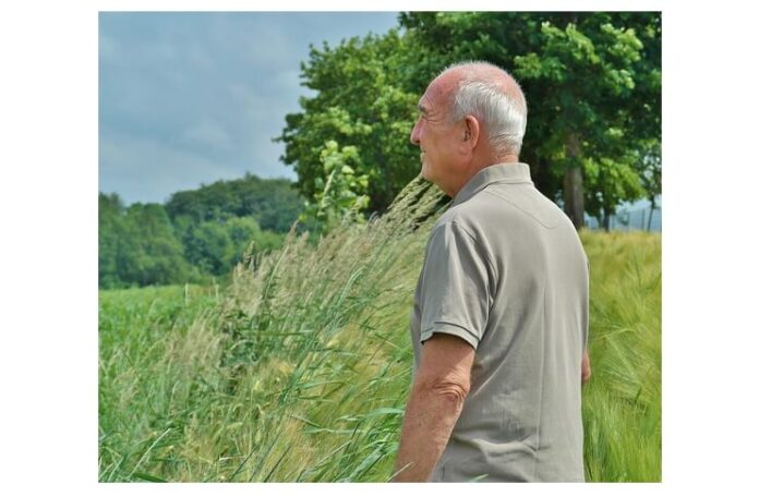 ajutor pensionari (1)