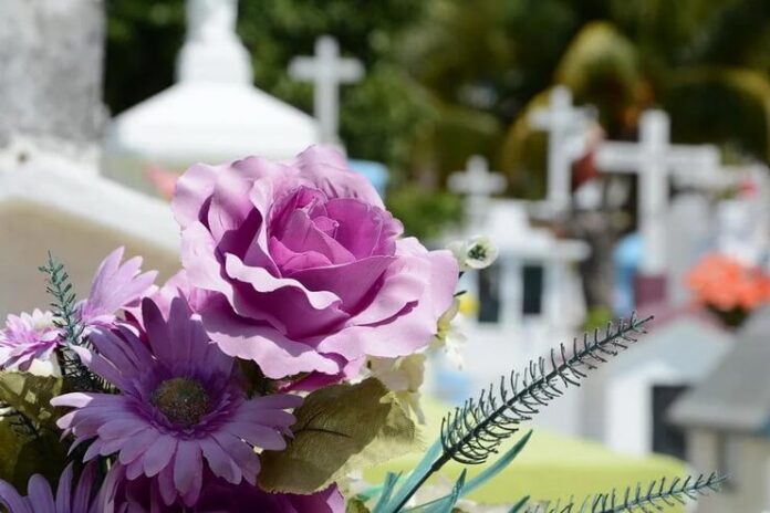 flori cimitir sapanta florika waltere