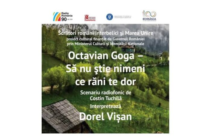 octavian goga dorel visan (1)