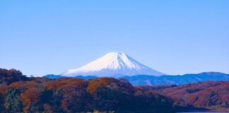Fuji Yama (1)
