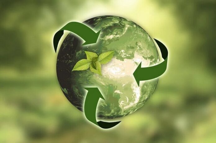 ecofilosofie