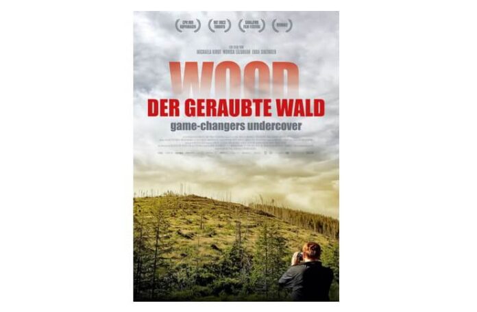 filmul lemn afis (1)