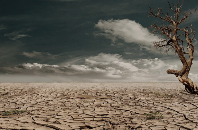 seceta despagubiri agricultori
