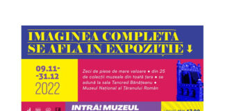 muzeul pentru tine (1)