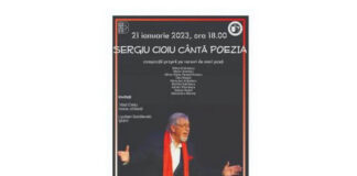 sergiu cioiu
