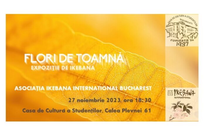 flori de toamna .Expo Ikebana (1)
