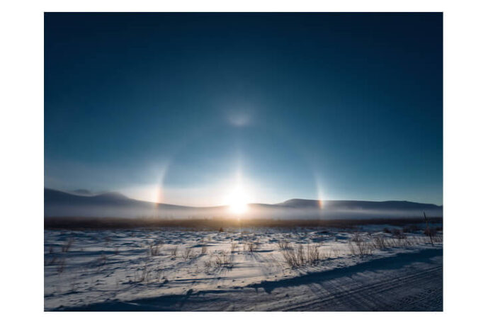 Arctic_Print-01 (1)