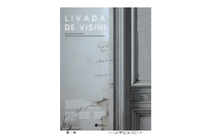 5_ldv