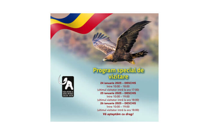 muzeul antipa (1)
