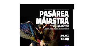 pasarea maiastra gulliver (1)