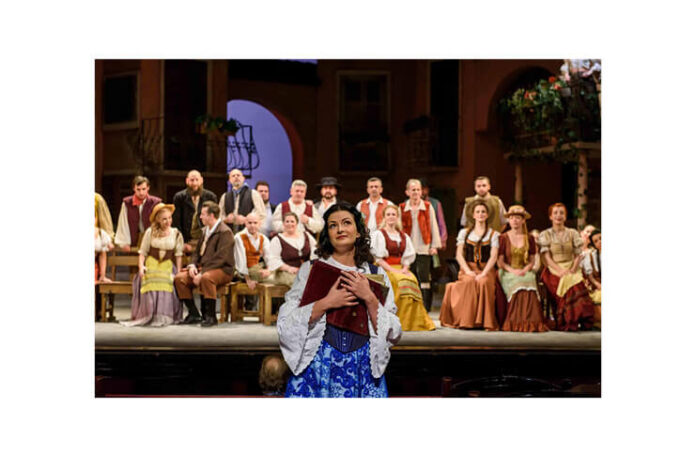 Foto: Nicu Cherciu. Sursa: Opera Națională Română Cluj-Napoca
