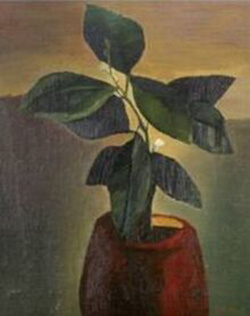costin-neamtu 2