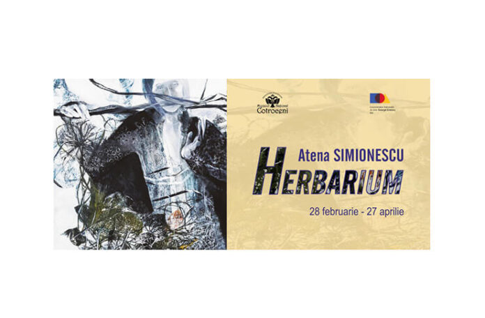 expozitie herbarium (1)