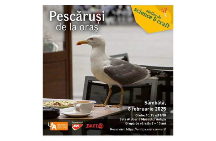 pescarusi muzeul antipa (1)