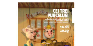 cei trei purcelusi teatrul gulliver (1)